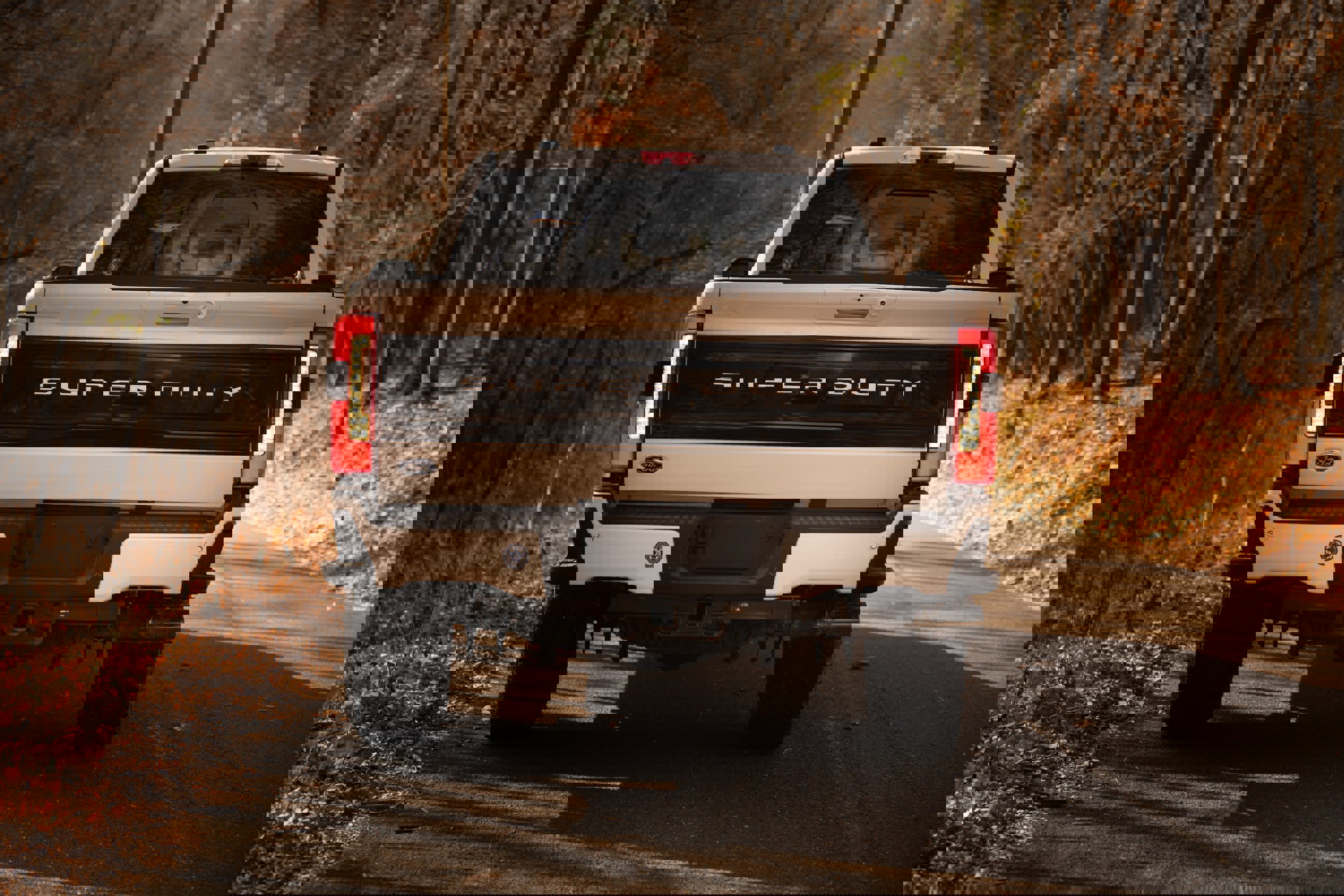 Certified 2025 Ford F250 Platinum w/ Tremor Off-Road Package image 8