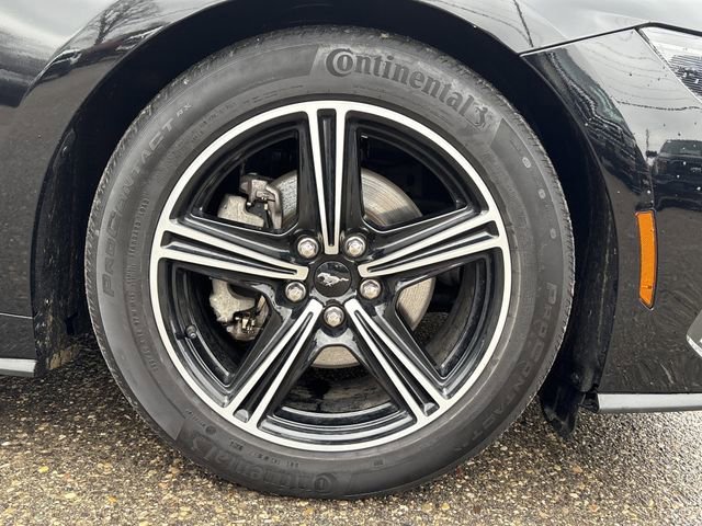Certified 2024 Ford Mustang Premium image 61