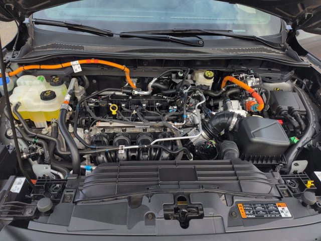 Certified 2025 Ford Escape ST-Line w/ Equipment Group 301A image 23