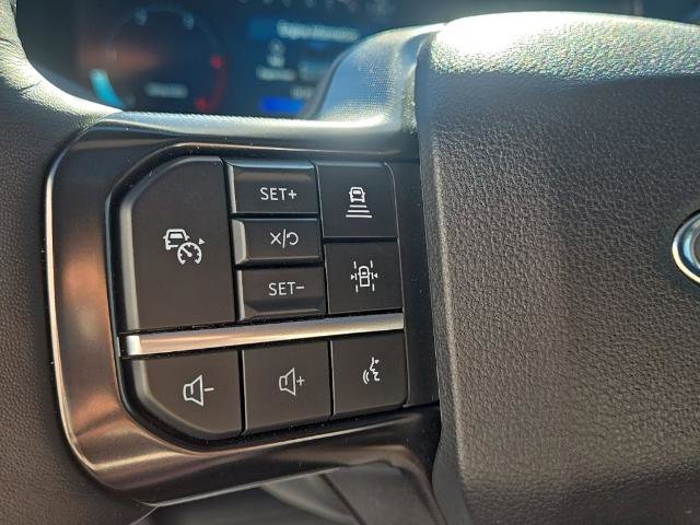 Certified 2025 Ford F350 Platinum image 27