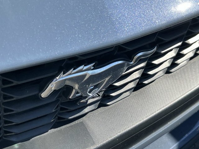 Certified 2024 Ford Mustang Premium RWD image 5