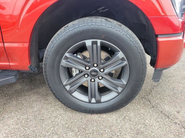 Certified 2023 Ford F150 XLT w/ Equipment Group 302A High image 5