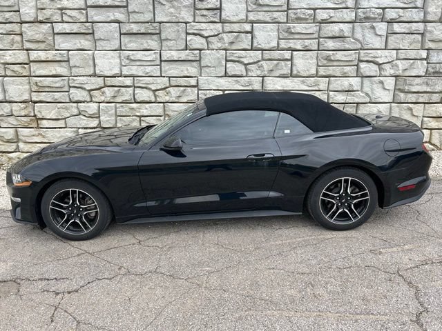 Certified 2023 Ford Mustang Convertible w/ Equipment Group 101A RWD image 3