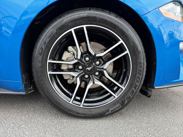 Certified 2019 Ford Mustang Premium RWD image 5