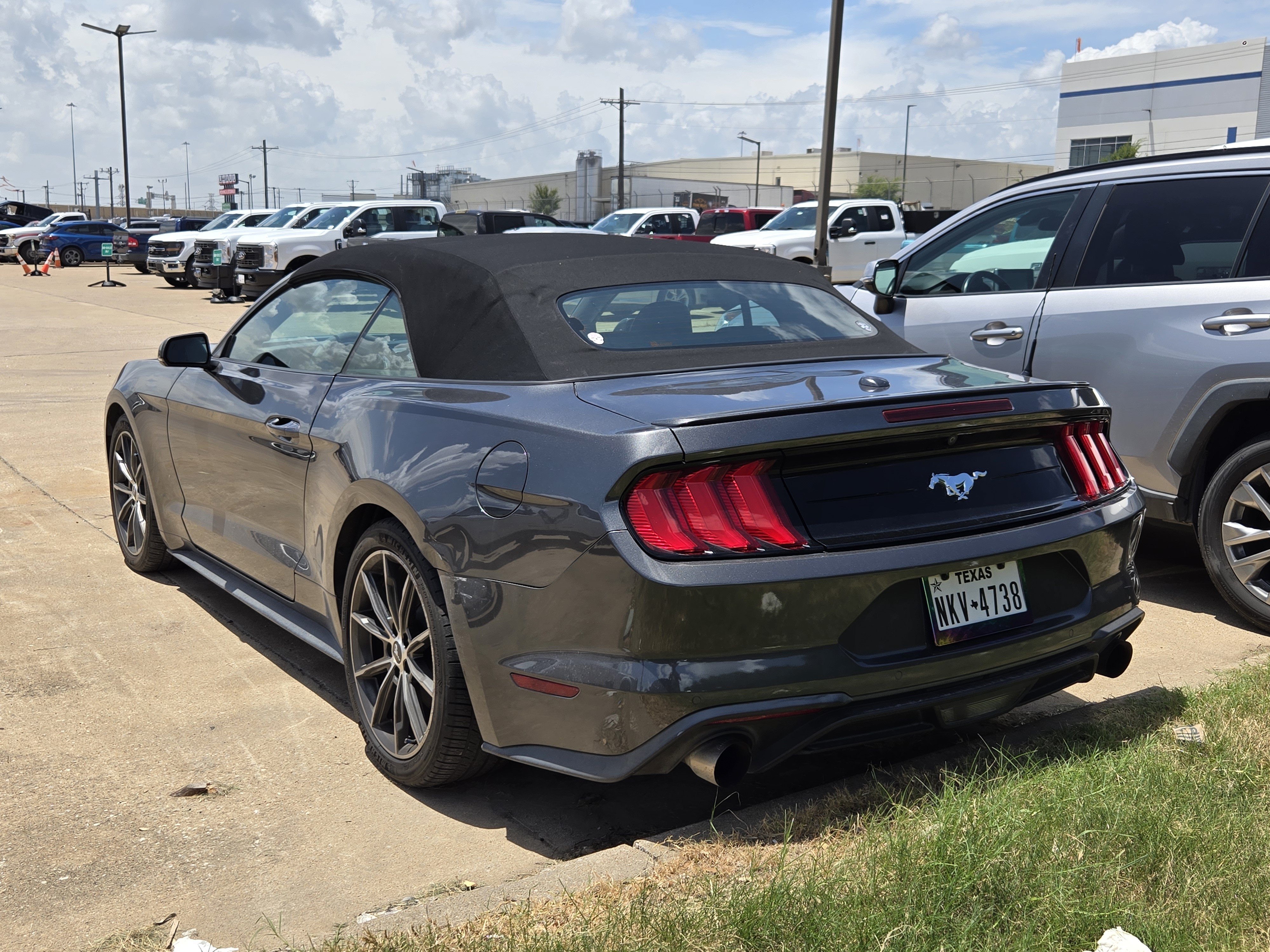 Certified 2019 Ford Mustang Premium w/ Equipment Group 201A RWD image 4