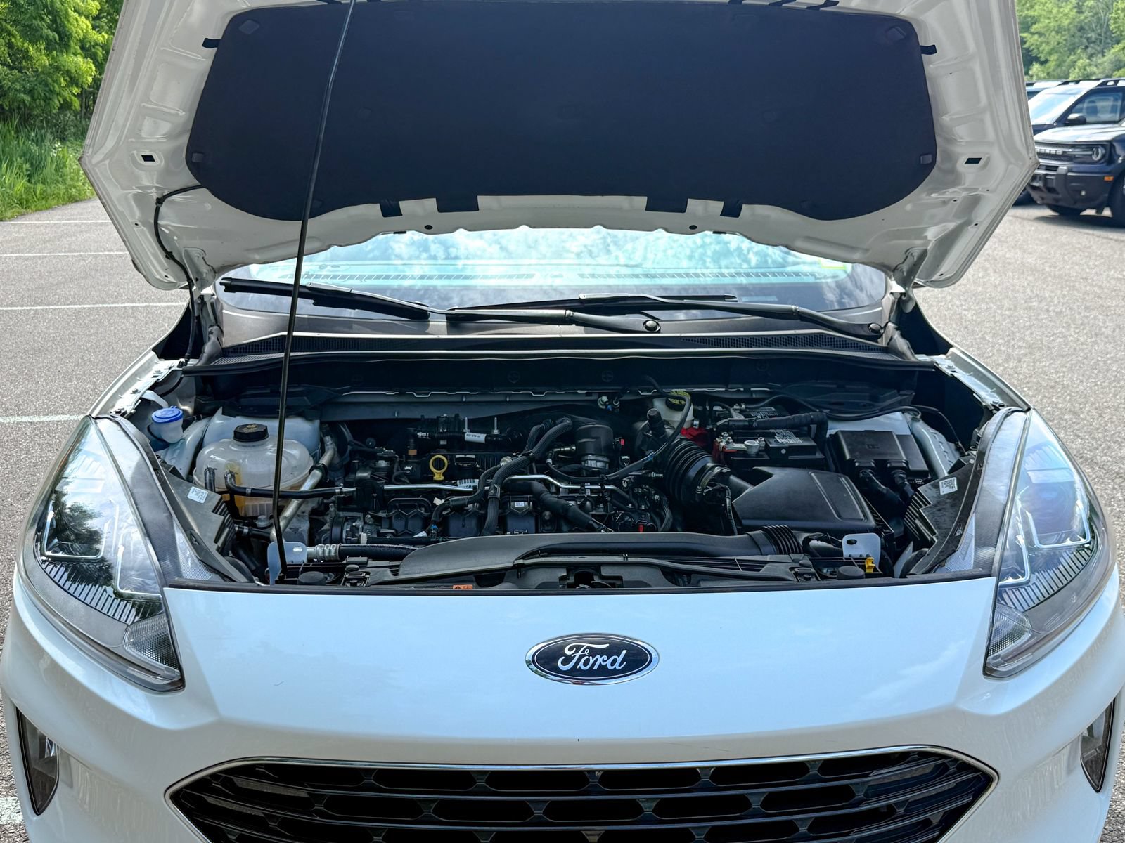 Certified 2022 Ford Escape SEL w/ SEL Stealth AWD Package image 16