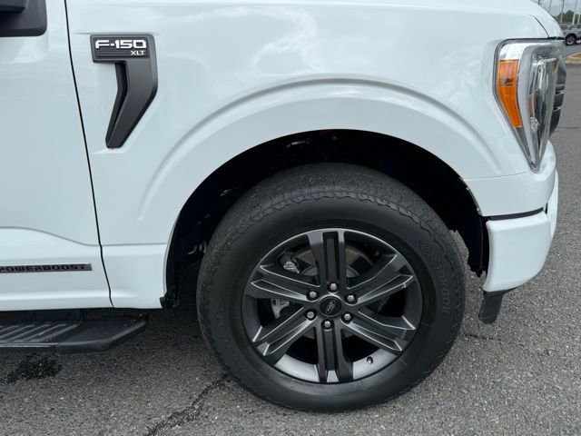 Certified 2023 Ford F150 XLT w/ Equipment Group 302A High AWD/4WD image 8