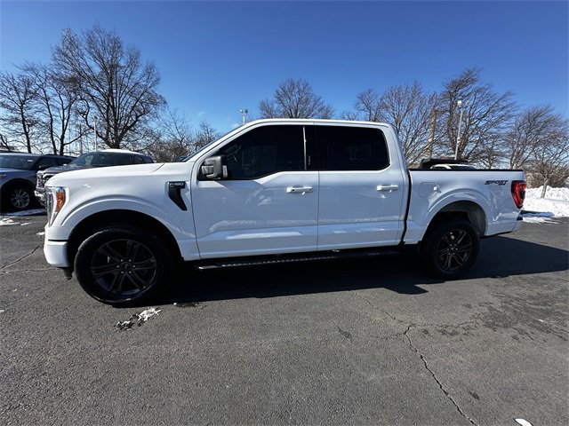 Certified 2022 Ford F150 XLT w/ Equipment Group 302A High image 2