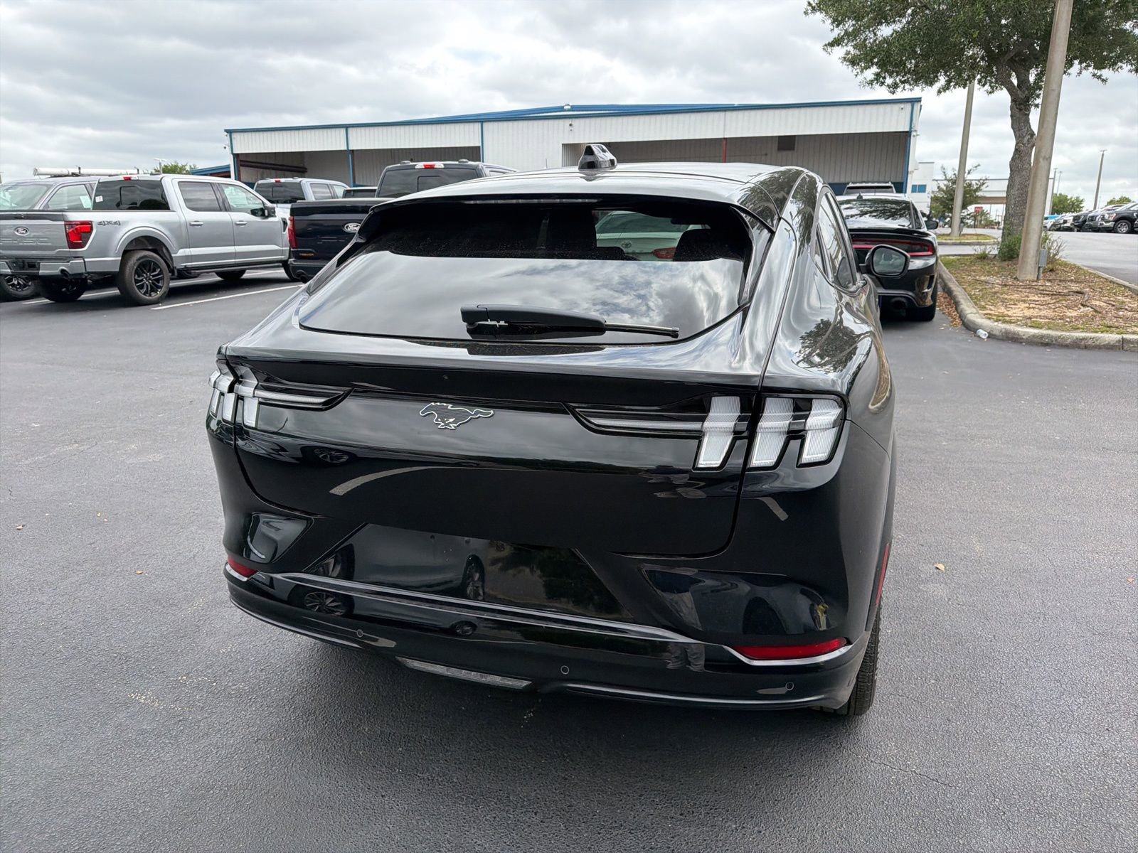 Certified 2025 Ford Mustang Mach-E Premium w/ Sport Appearance Package RWD image 5