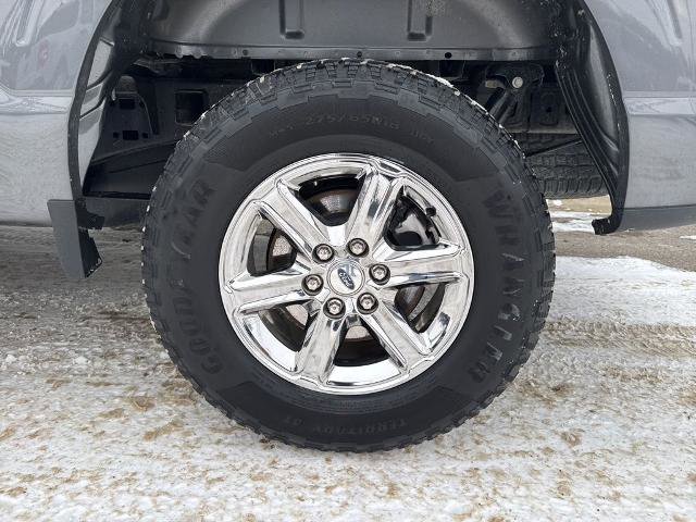 Certified 2025 Ford F150 XLT w/ Equipment Group 301A Standard image 6