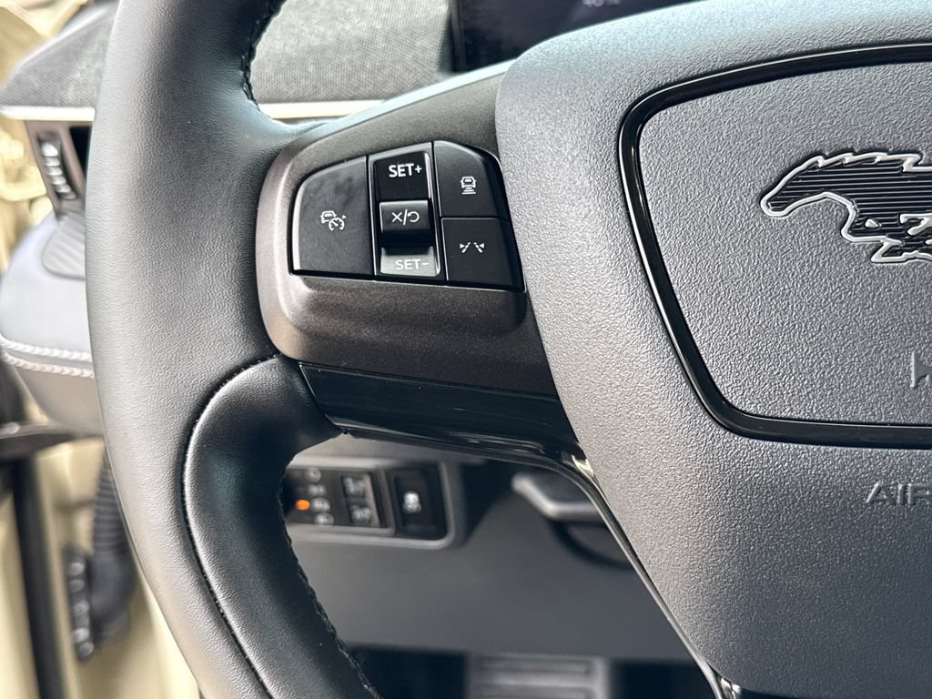 Certified 2025 Ford Mustang Mach-E Premium RWD image 16