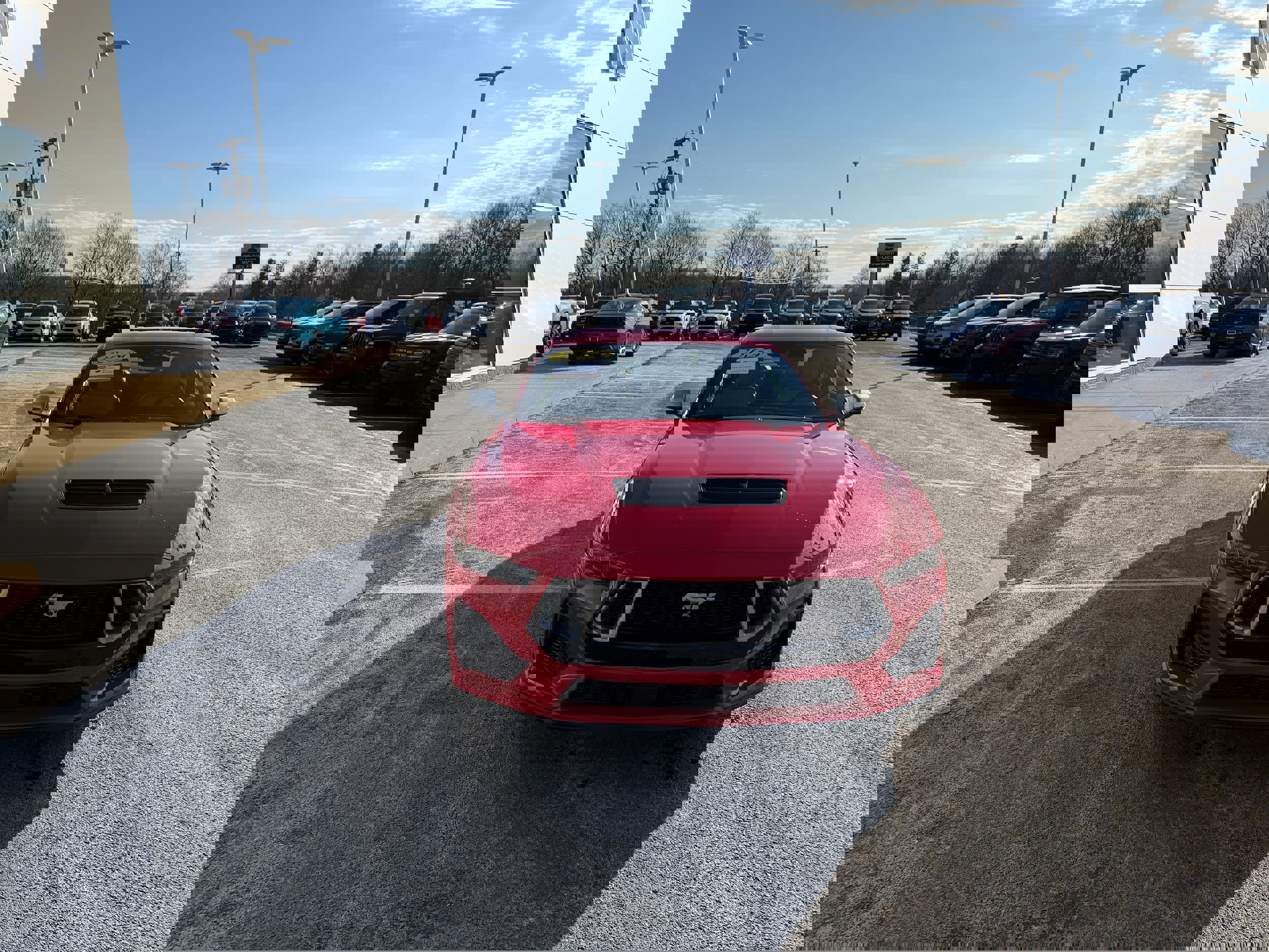 Certified 2025 Ford Mustang GT Premium w/ 60th Anniversary Package image 9