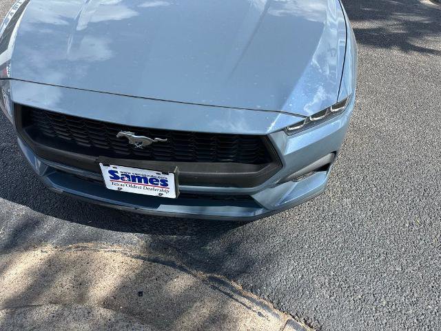 Certified 2024 Ford Mustang Coupe image 10