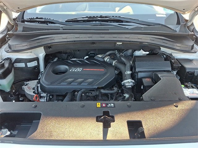 Used 2019 Hyundai Santa Fe Limited image 29