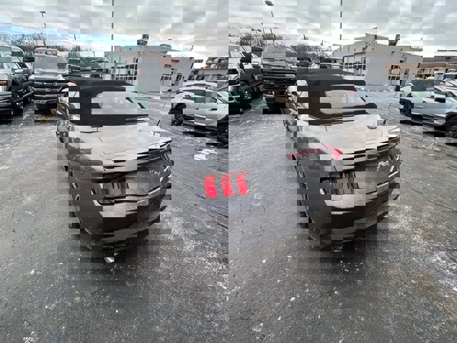 Certified 2024 Ford Mustang Premium image 4