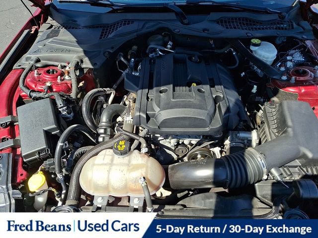 Certified 2019 Ford Mustang Convertible w/ Equipment Group 101A image 30