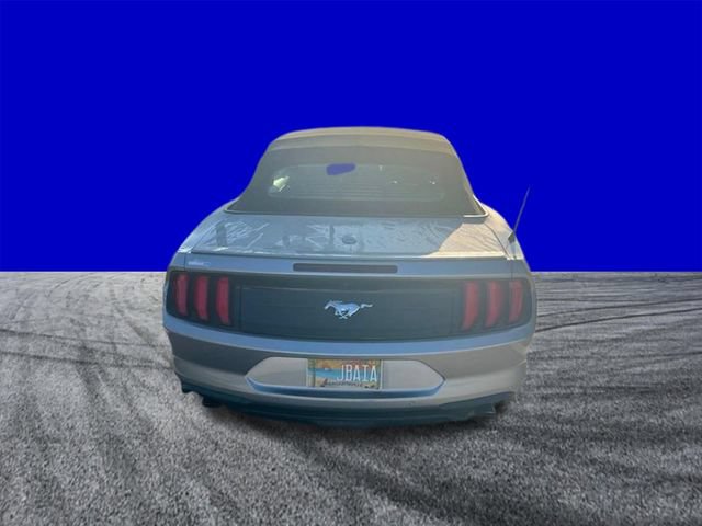 Certified 2021 Ford Mustang Premium RWD image 4