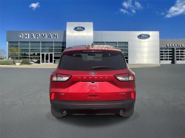 Certified 2022 Ford Escape SE w/ SE Sport Appearance Package image 6