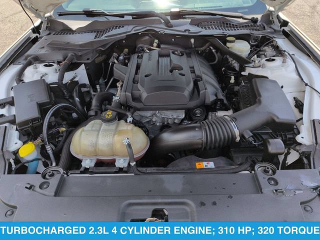 Certified 2017 Ford Mustang Premium RWD image 21