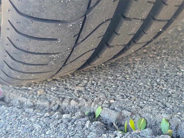 Certified 2021 Ford Mustang GT Premium w/ GT Performance Package image 32