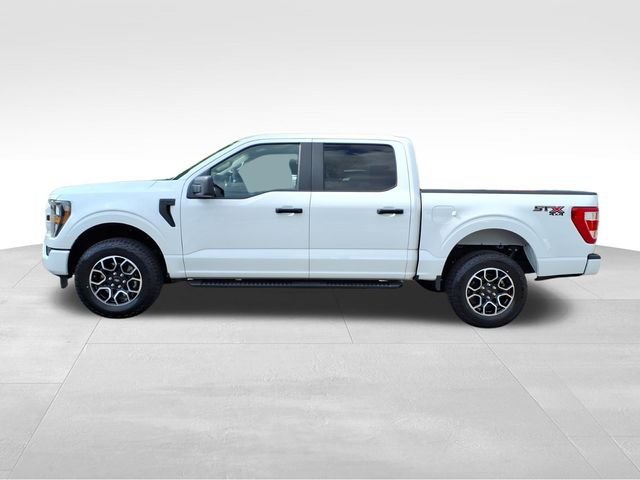 Certified 2023 Ford F150 XL w/ STX Appearance Package AWD/4WD image 4