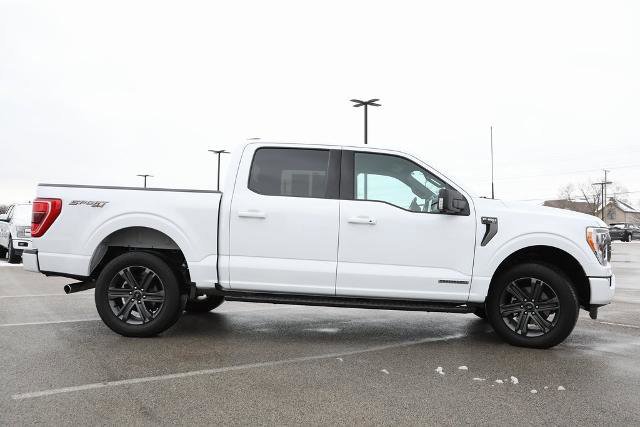 Certified 2023 Ford F150 XLT w/ Equipment Group 302A High image 2