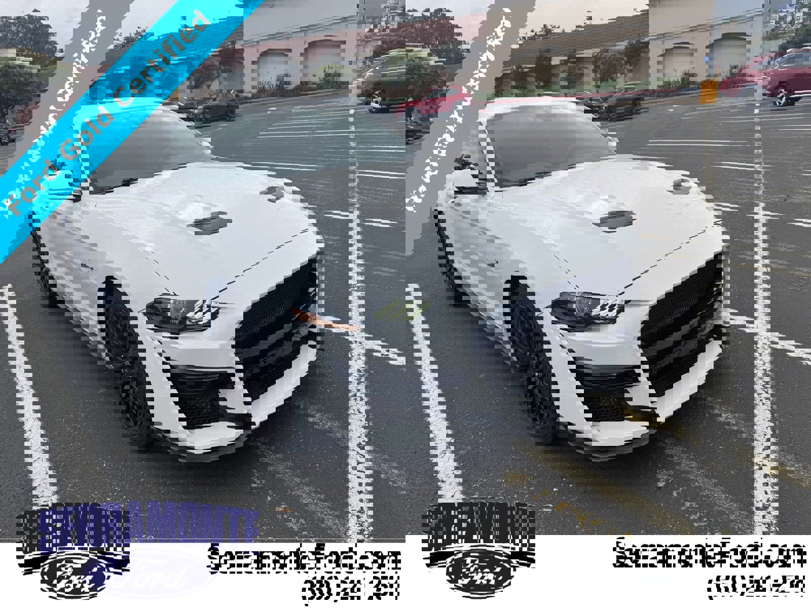 Certified 2021 Ford Mustang GT Premium w/ GT Performance Package