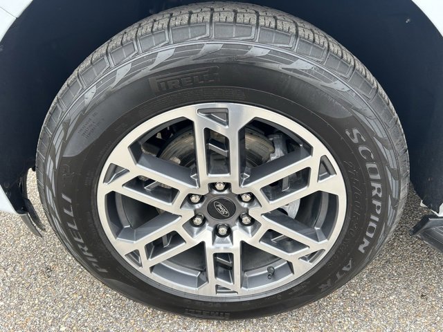 Certified 2025 Ford Expedition Active image 12