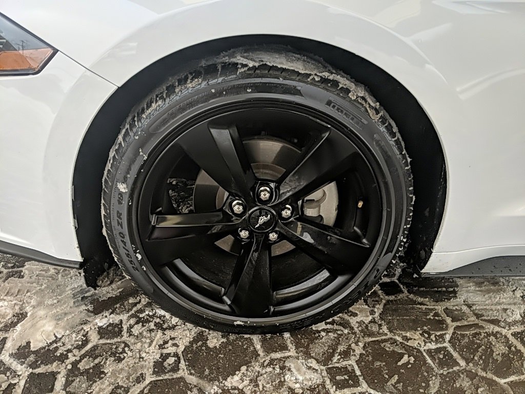 Certified 2021 Ford Mustang Coupe w/ Equipment Group 101A image 9