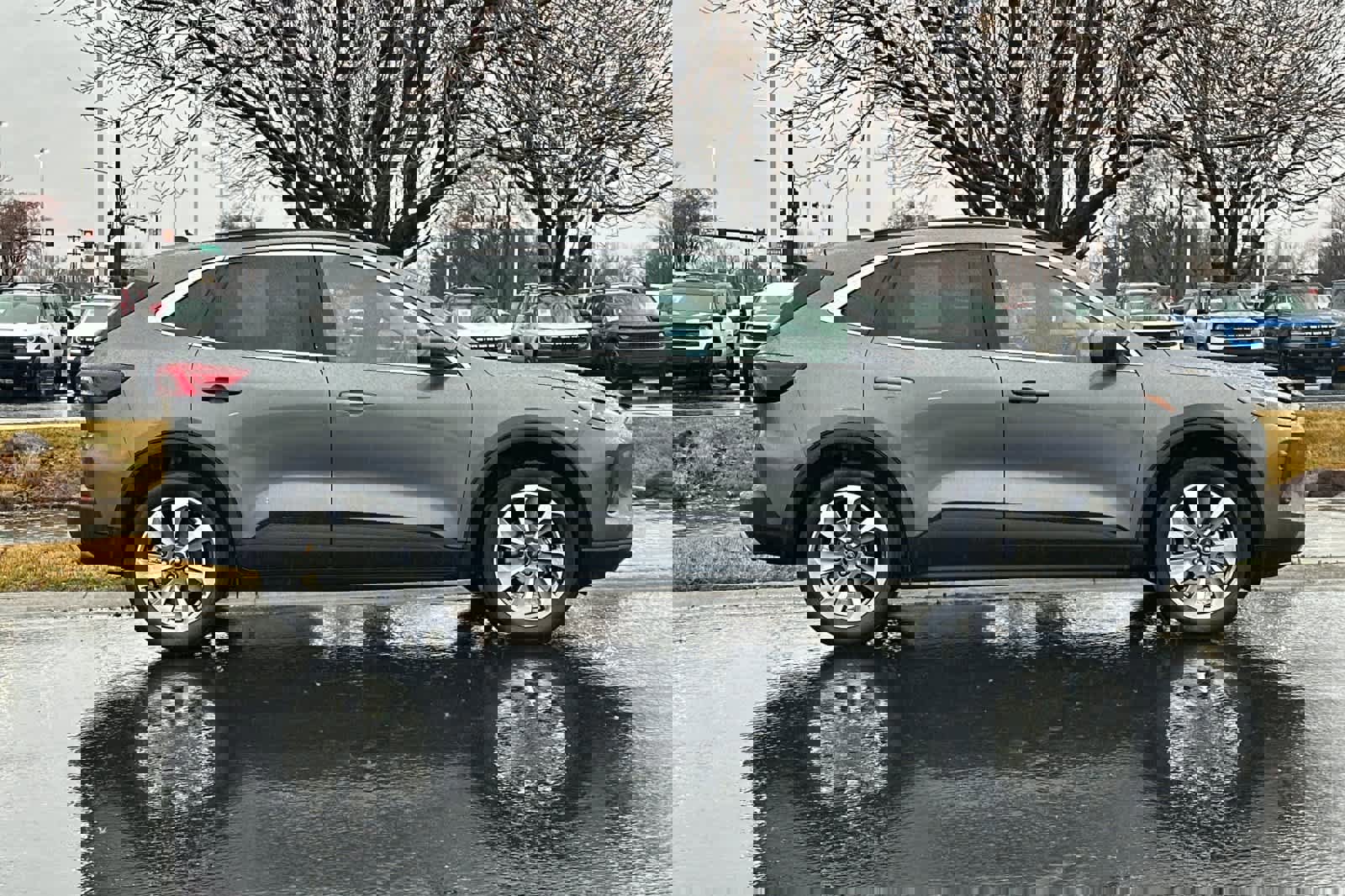 Certified 2025 Ford Escape Platinum image 6