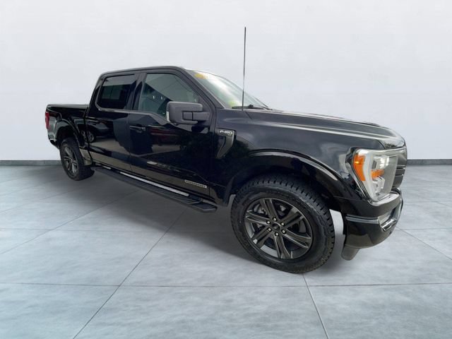 Certified 2023 Ford F150 XLT w/ Equipment Group 302A High AWD/4WD image 8