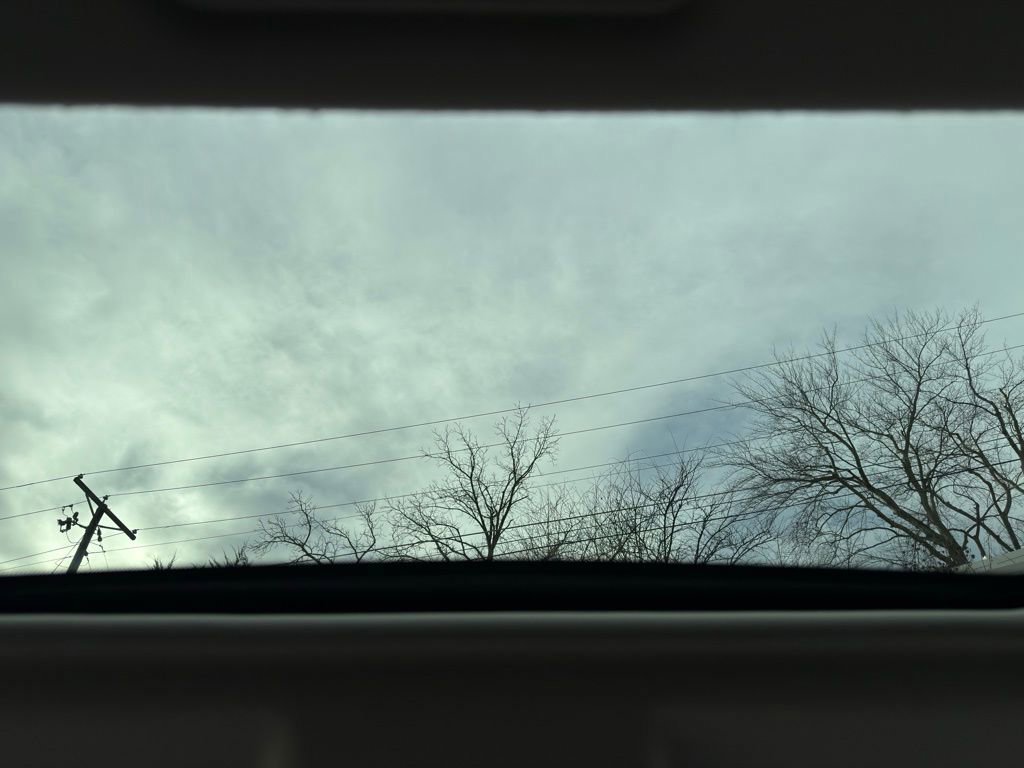 Certified 2021 Ford EcoSport SE image 12