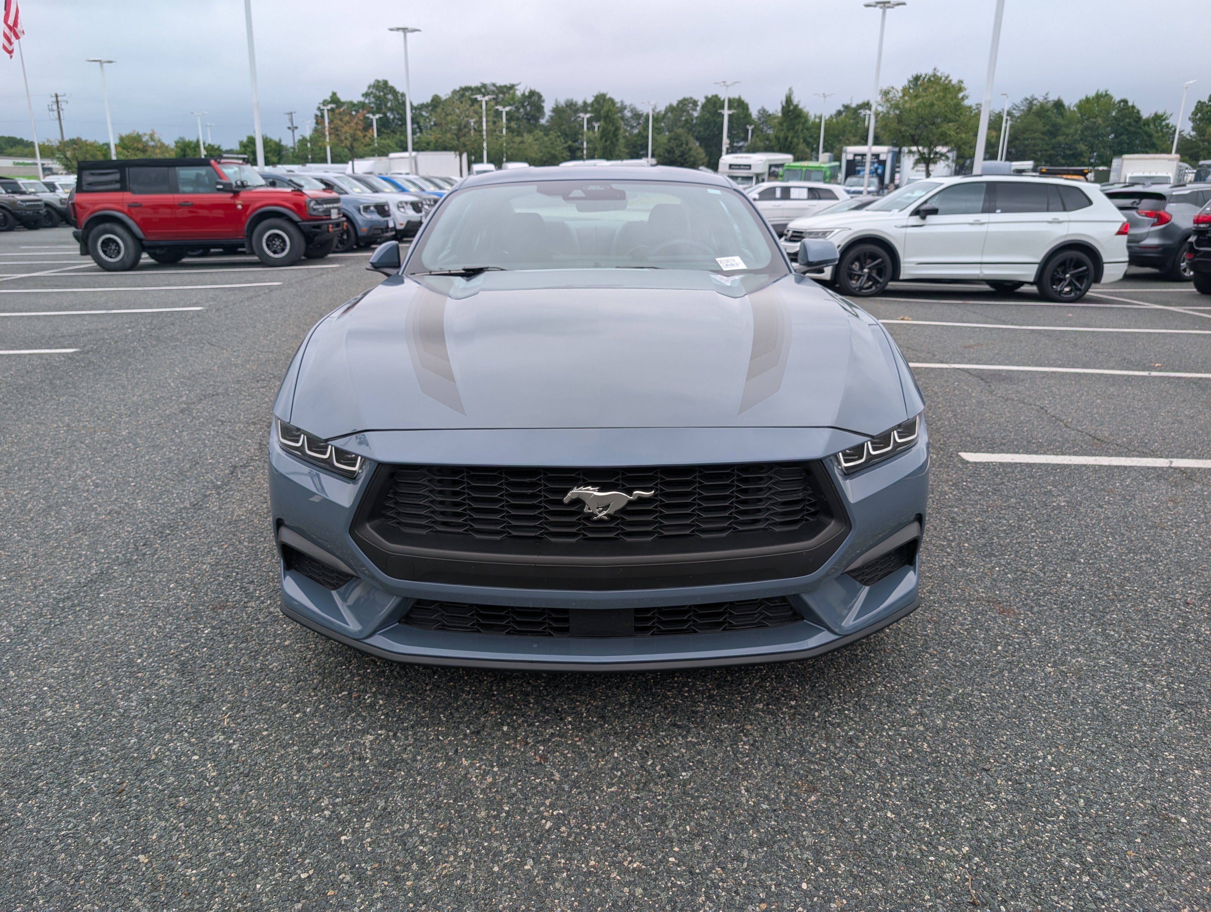 Certified 2025 Ford Mustang Coupe RWD image 8