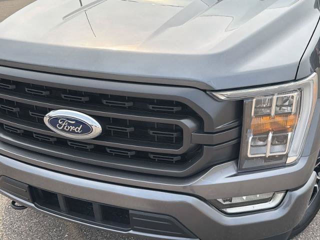 Certified 2023 Ford F150 XLT w/ Equipment Group 302A High AWD/4WD image 11