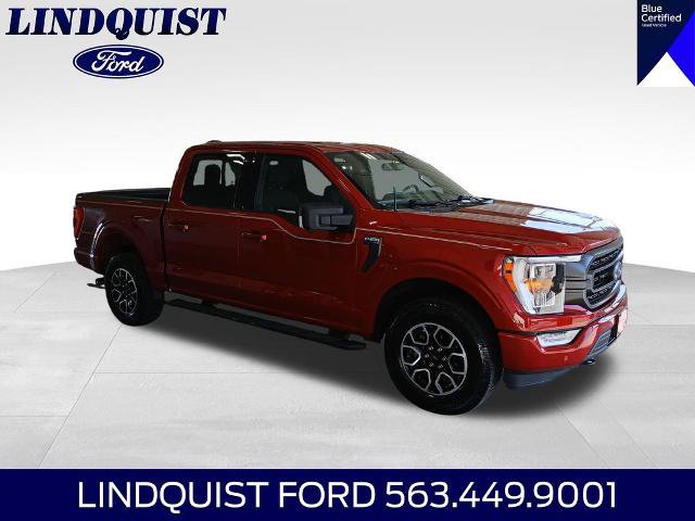 Certified 2021 Ford F150 XLT w/ Equipment Group 302A High AWD/4WD image 6