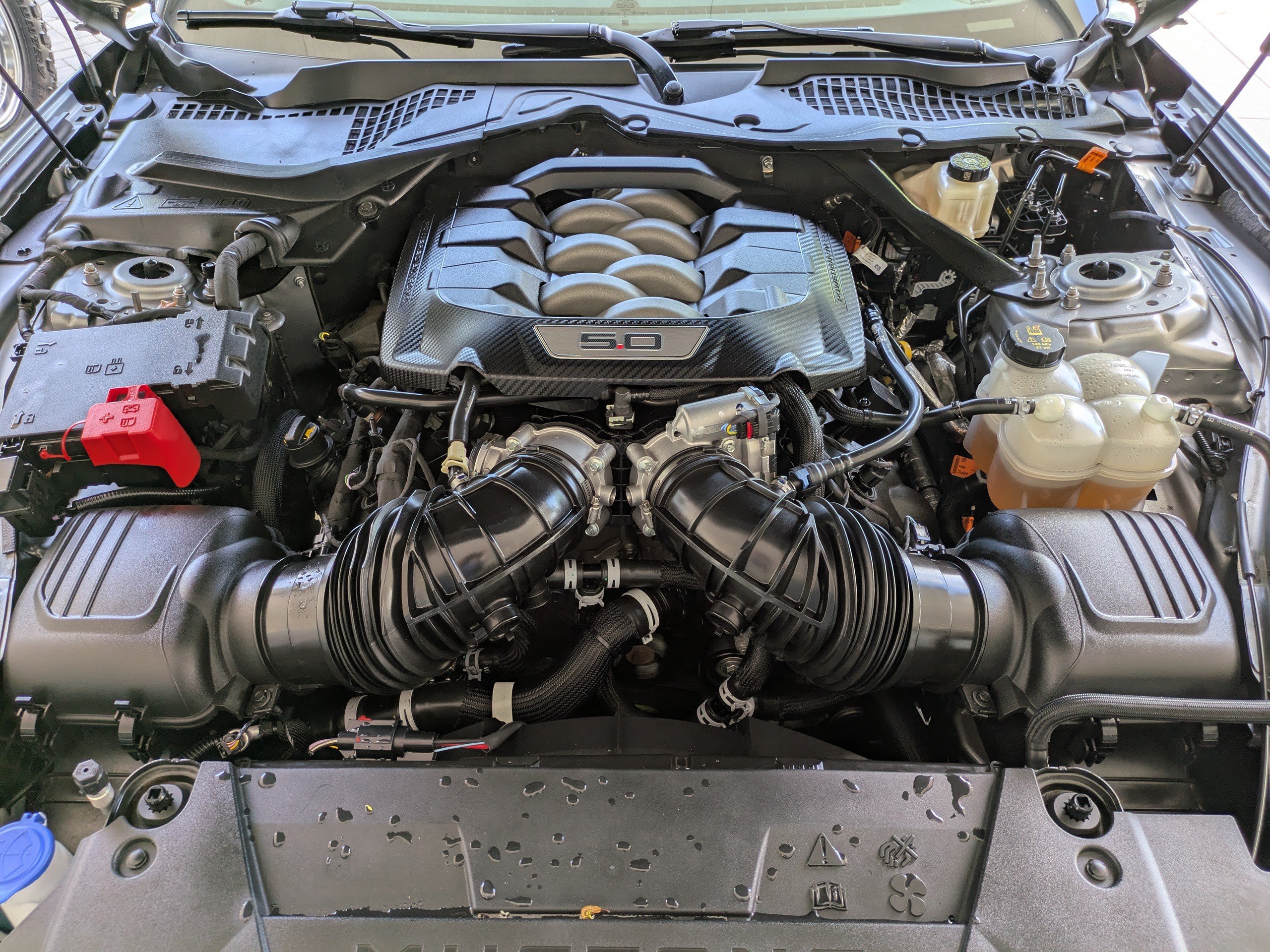 Certified 2024 Ford Mustang GT Premium RWD image 13