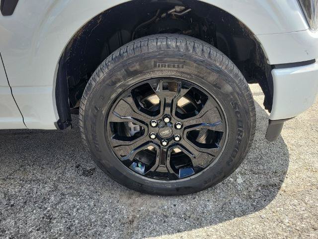 Certified 2022 Ford F150 XL w/ STX Black Appearance Package AWD/4WD image 6