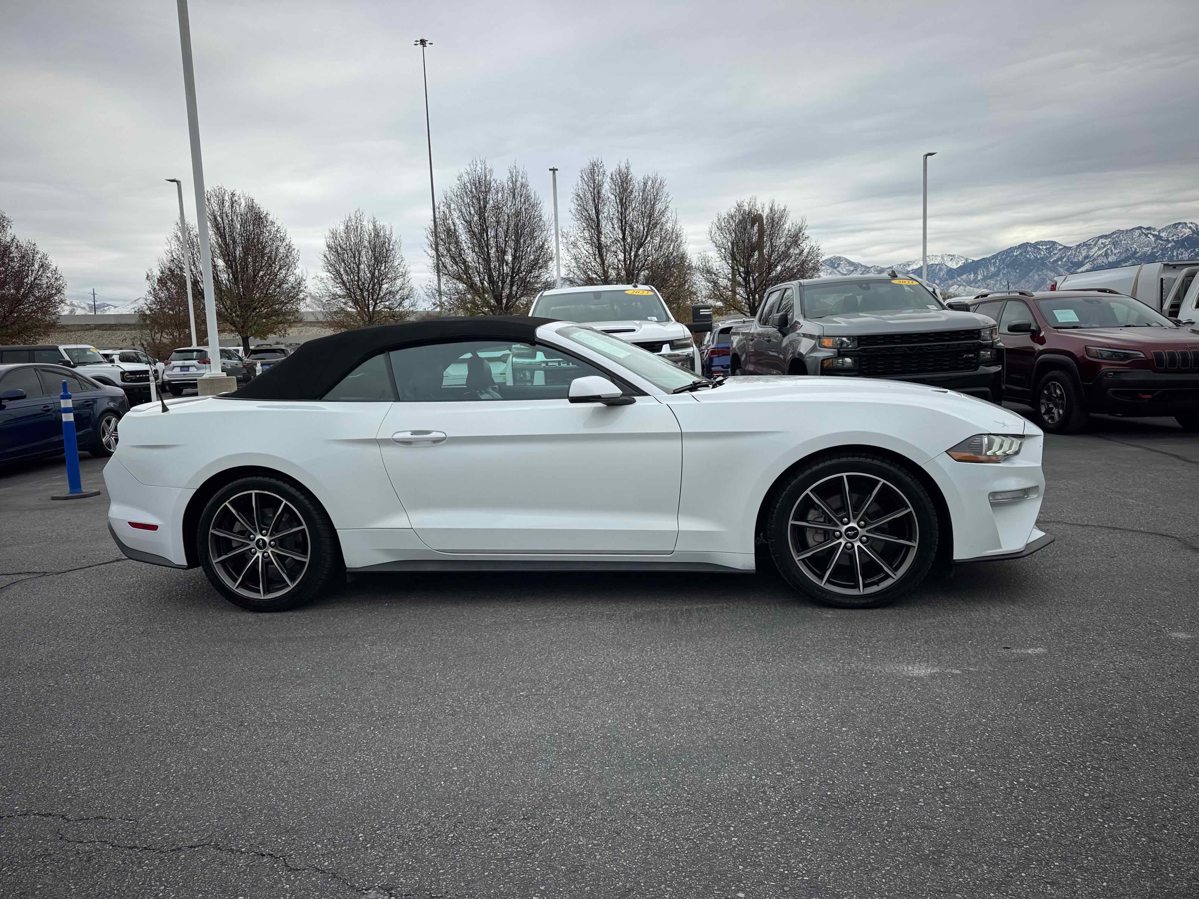 Certified 2018 Ford Mustang Premium w/ Equipment Group 201A image 9