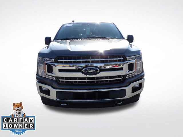 Certified 2019 Ford F150 XLT w/ Equipment Group 302A Luxury image 8