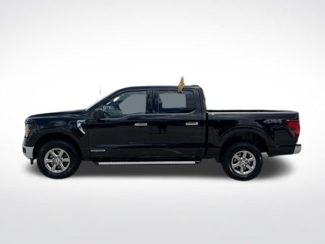 Certified 2025 Ford F150 XLT w/ Equipment Group 301A Standard AWD/4WD image 4