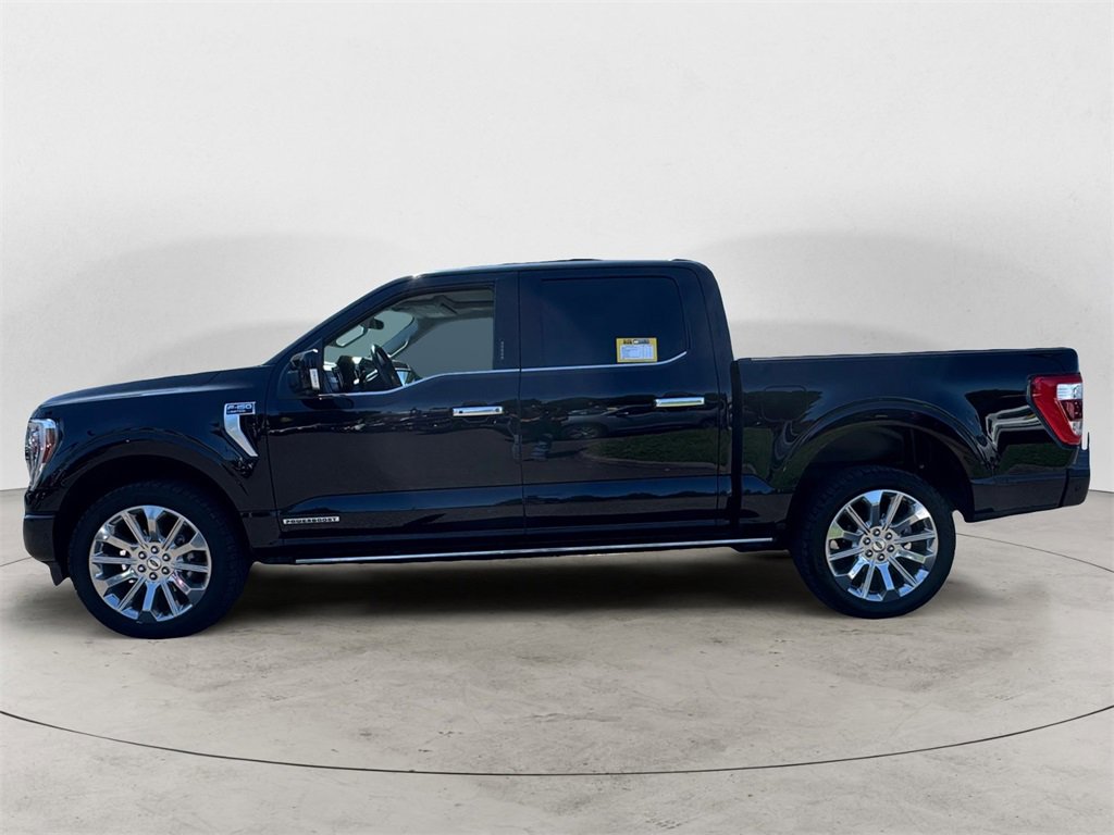 Certified 2023 Ford F150 Limited image 2