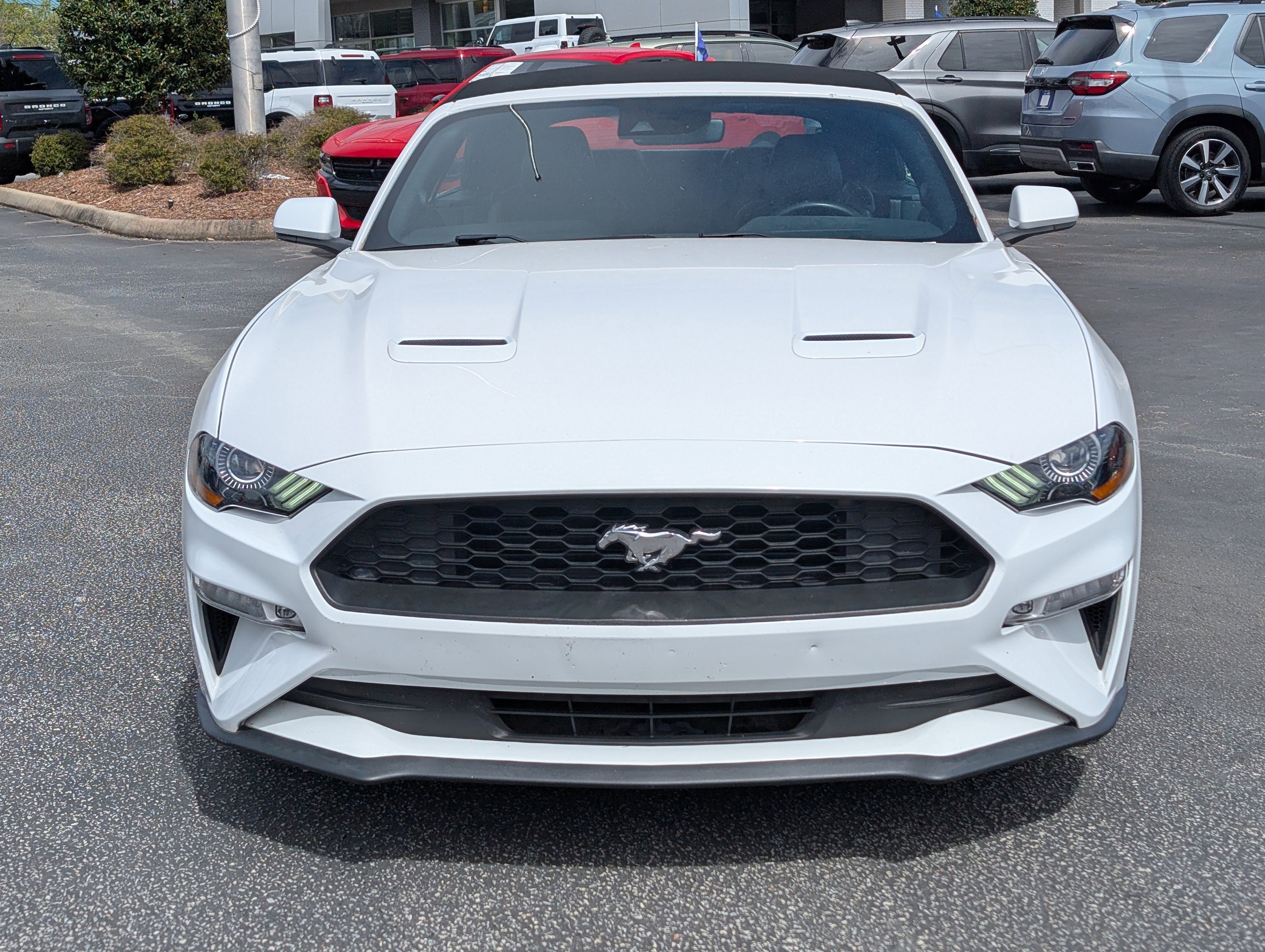 Certified 2021 Ford Mustang Premium image 9