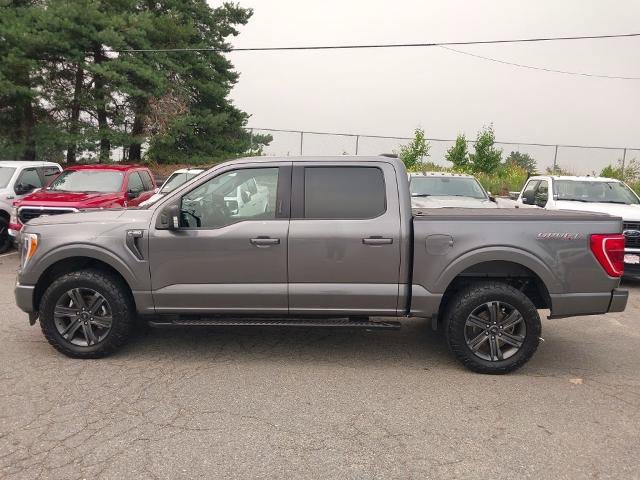 Certified 2023 Ford F150 XLT w/ Equipment Group 302A High AWD/4WD image 5