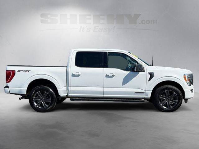 Certified 2023 Ford F150 XLT w/ Equipment Group 302A High AWD/4WD image 10