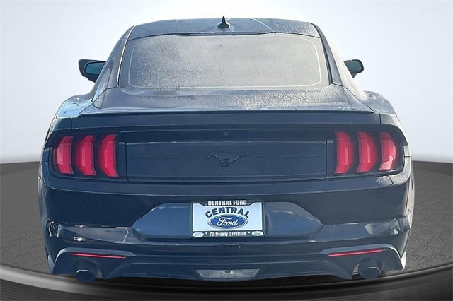 Certified 2023 Ford Mustang Coupe w/ Mustang Nite Pony Package image 3