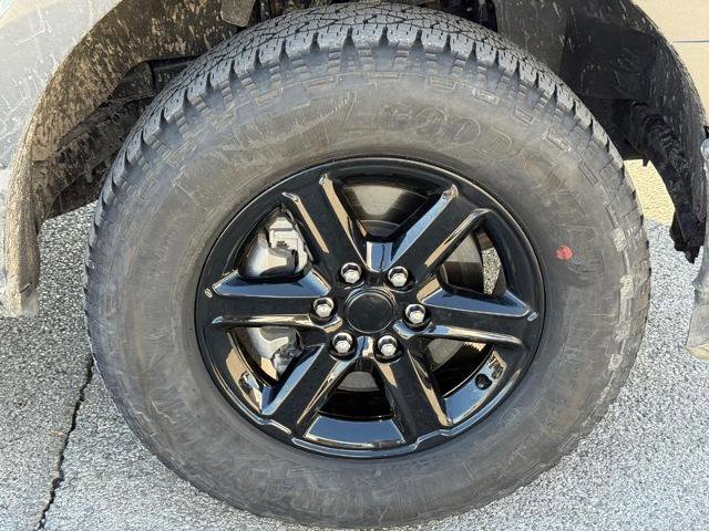 Certified 2025 Ford F150 XLT w/ Equipment Group 301A Standard image 8