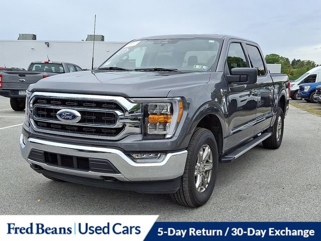 Certified 2023 Ford F150 XLT w/ Equipment Group 302A High image 4