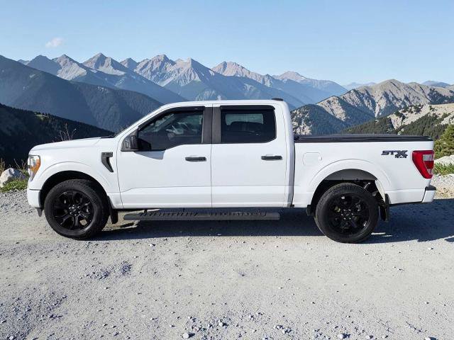 Certified 2022 Ford F150 XL w/ STX Black Appearance Package AWD/4WD image 3
