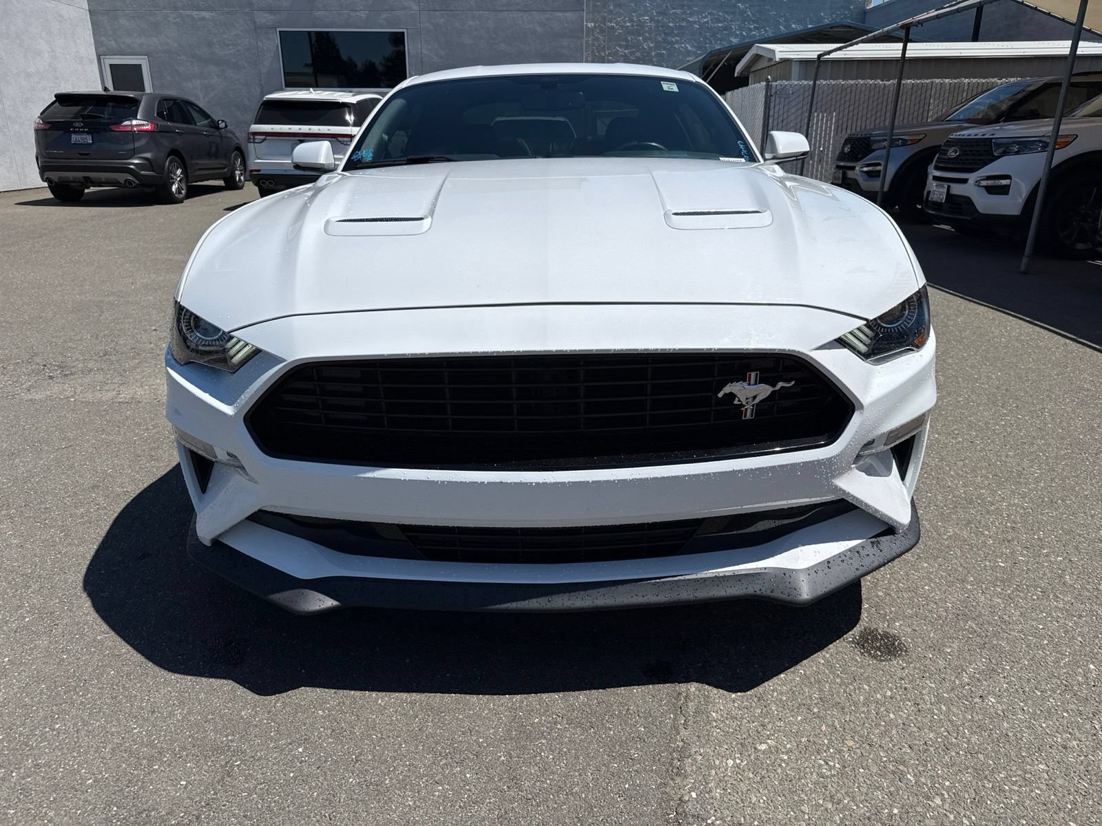 Certified 2019 Ford Mustang GT Premium w/ California Special Package RWD image 12
