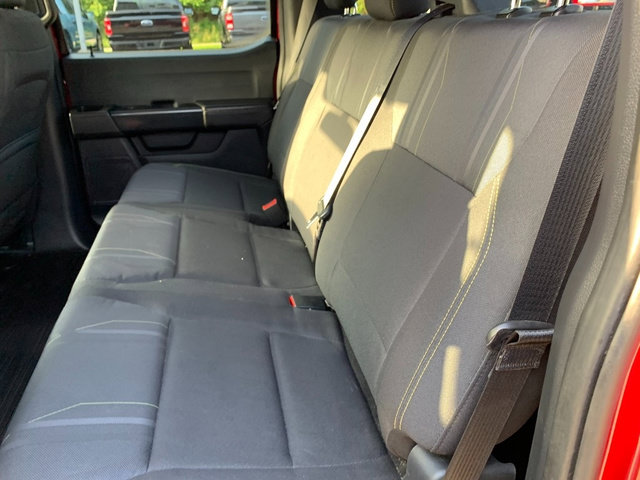 Certified 2024 Ford F150 STX w/ STX Black Appearance Package AWD/4WD image 19